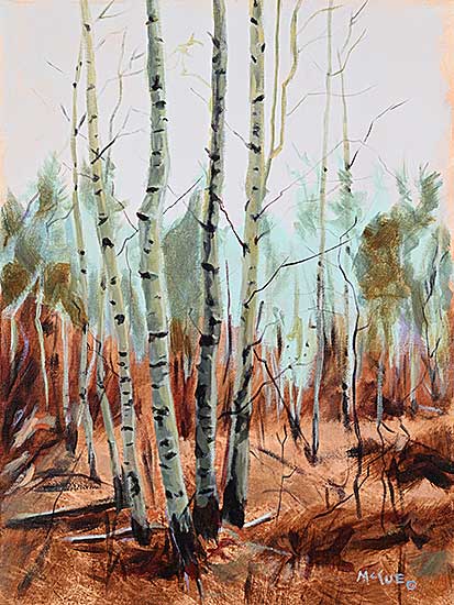 #1123 ~ McCue - Untitled - Birch Trees