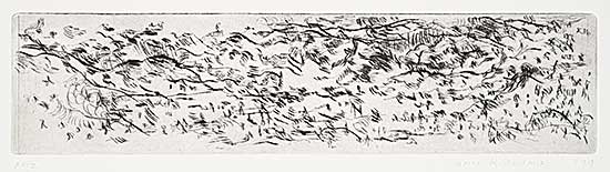 #1366 ~ Kipling - Untitled - Terrain  #AP2